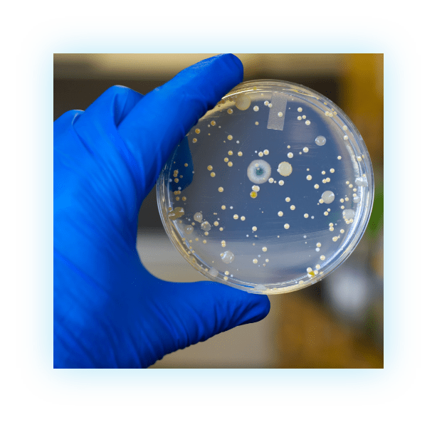 microbiology-faq